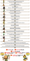 KONU-3.webp