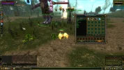 foto 3.webp