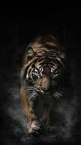 zerouhour16