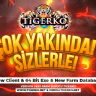 tigerko.com