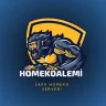 xHomeKoAlemi