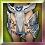 Holy Knight Assassin Pads (+7)